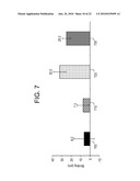 NANOPARTICULATE CELL CULTURE SURFACE diagram and image