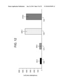 NANOPARTICULATE CELL CULTURE SURFACE diagram and image