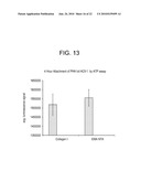 NANOPARTICULATE CELL CULTURE SURFACE diagram and image