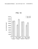 NANOPARTICULATE CELL CULTURE SURFACE diagram and image