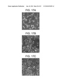 NANOPARTICULATE CELL CULTURE SURFACE diagram and image