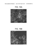 NANOPARTICULATE CELL CULTURE SURFACE diagram and image