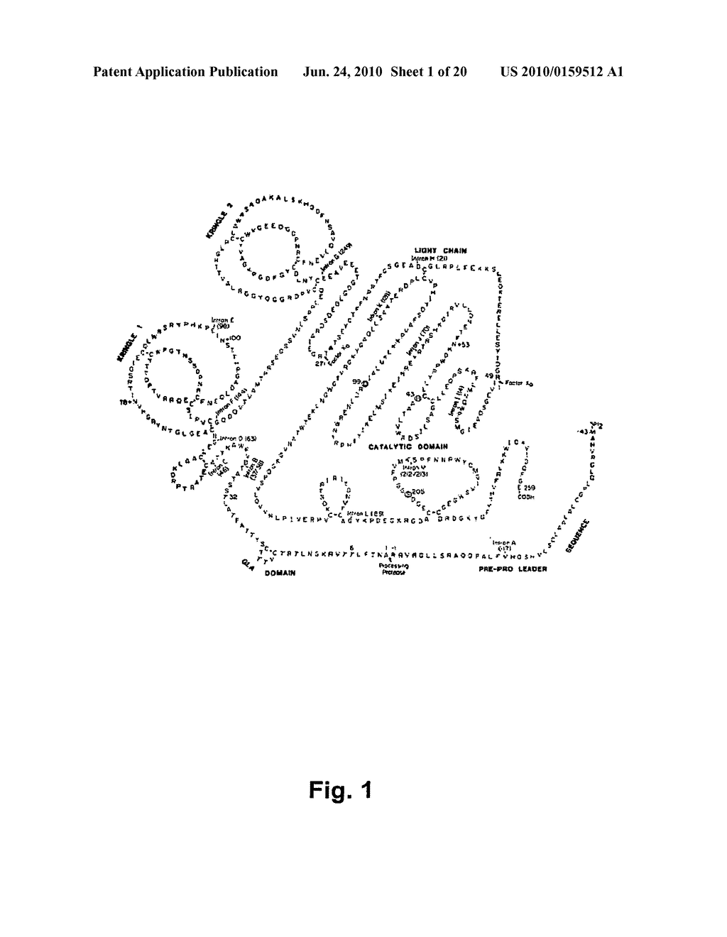 METHOD FOR THE PREPARATION OF RECOMBINANT HUMAN THROMBIN AND FIBRINOGEN - diagram, schematic, and image 02