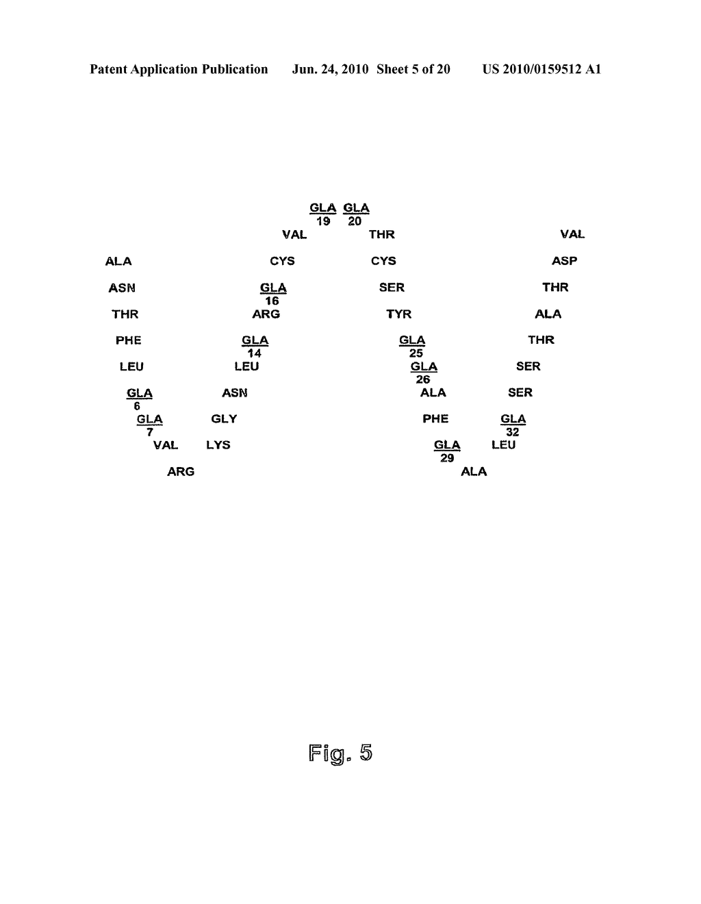 METHOD FOR THE PREPARATION OF RECOMBINANT HUMAN THROMBIN AND FIBRINOGEN - diagram, schematic, and image 06