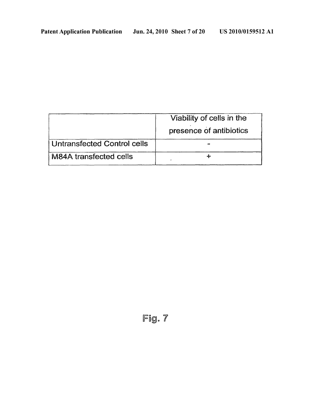 METHOD FOR THE PREPARATION OF RECOMBINANT HUMAN THROMBIN AND FIBRINOGEN - diagram, schematic, and image 08