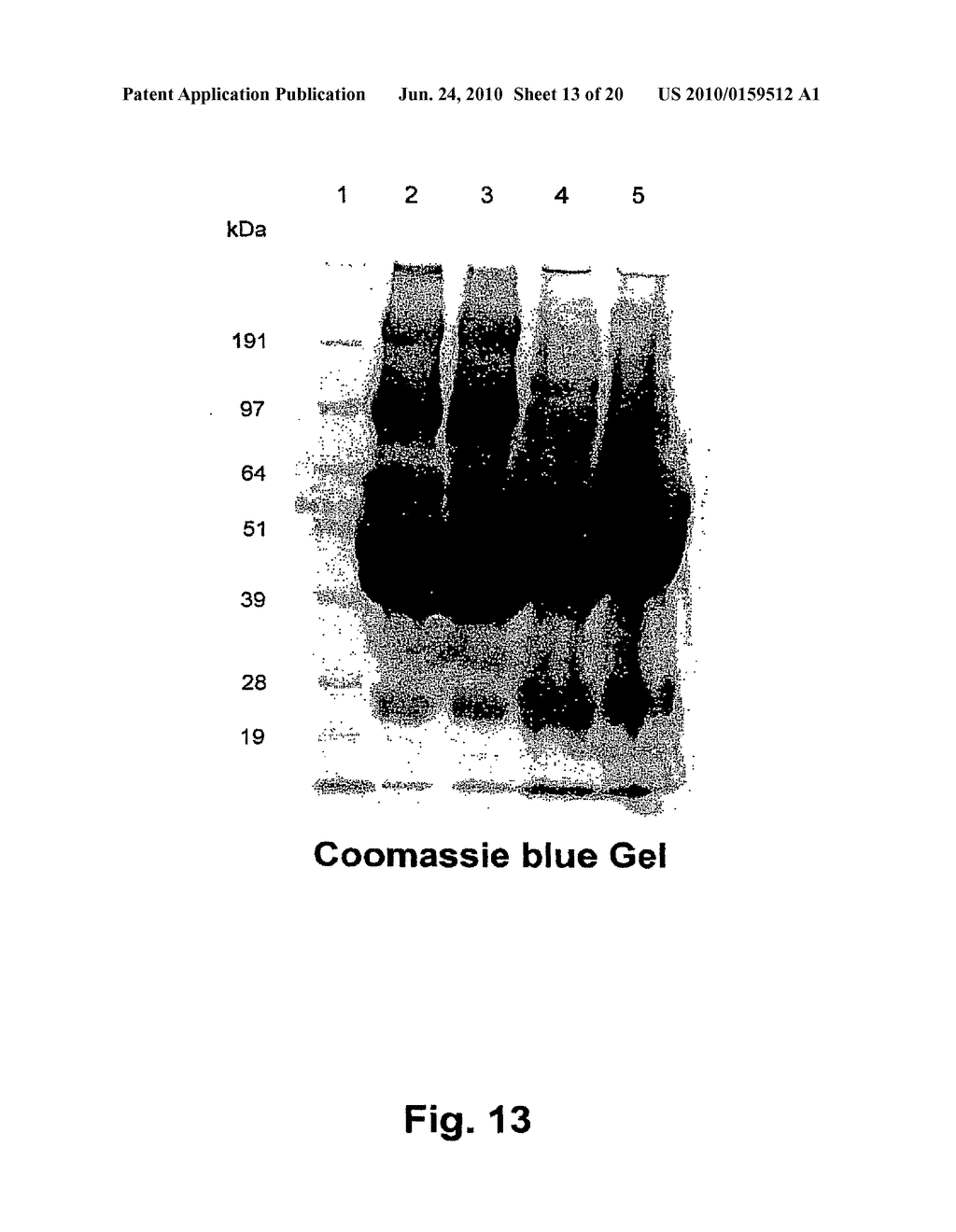 METHOD FOR THE PREPARATION OF RECOMBINANT HUMAN THROMBIN AND FIBRINOGEN - diagram, schematic, and image 14