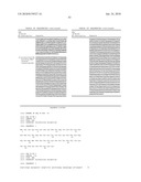 Polypeptides Having Nucleic Acid Binding Activity and Compositions and Methods For Nucleic Acid Amplification diagram and image