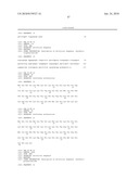 Polypeptides Having Nucleic Acid Binding Activity and Compositions and Methods For Nucleic Acid Amplification diagram and image