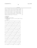 Polypeptides Having Nucleic Acid Binding Activity and Compositions and Methods For Nucleic Acid Amplification diagram and image