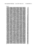 GENE ASSOCIATED WITH FOAM FORMATION OF ACETIC ACID BACTERIUM, ACETIC ACID BACTERIUM BRED BY MODIFYING THE GENE AND METHOD FOR PRODUCING VINEGAR USING THE ACETIC ACID BACTERIUM diagram and image