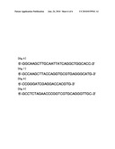 GENE ASSOCIATED WITH FOAM FORMATION OF ACETIC ACID BACTERIUM, ACETIC ACID BACTERIUM BRED BY MODIFYING THE GENE AND METHOD FOR PRODUCING VINEGAR USING THE ACETIC ACID BACTERIUM diagram and image