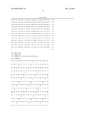 GENE ASSOCIATED WITH FOAM FORMATION OF ACETIC ACID BACTERIUM, ACETIC ACID BACTERIUM BRED BY MODIFYING THE GENE AND METHOD FOR PRODUCING VINEGAR USING THE ACETIC ACID BACTERIUM diagram and image