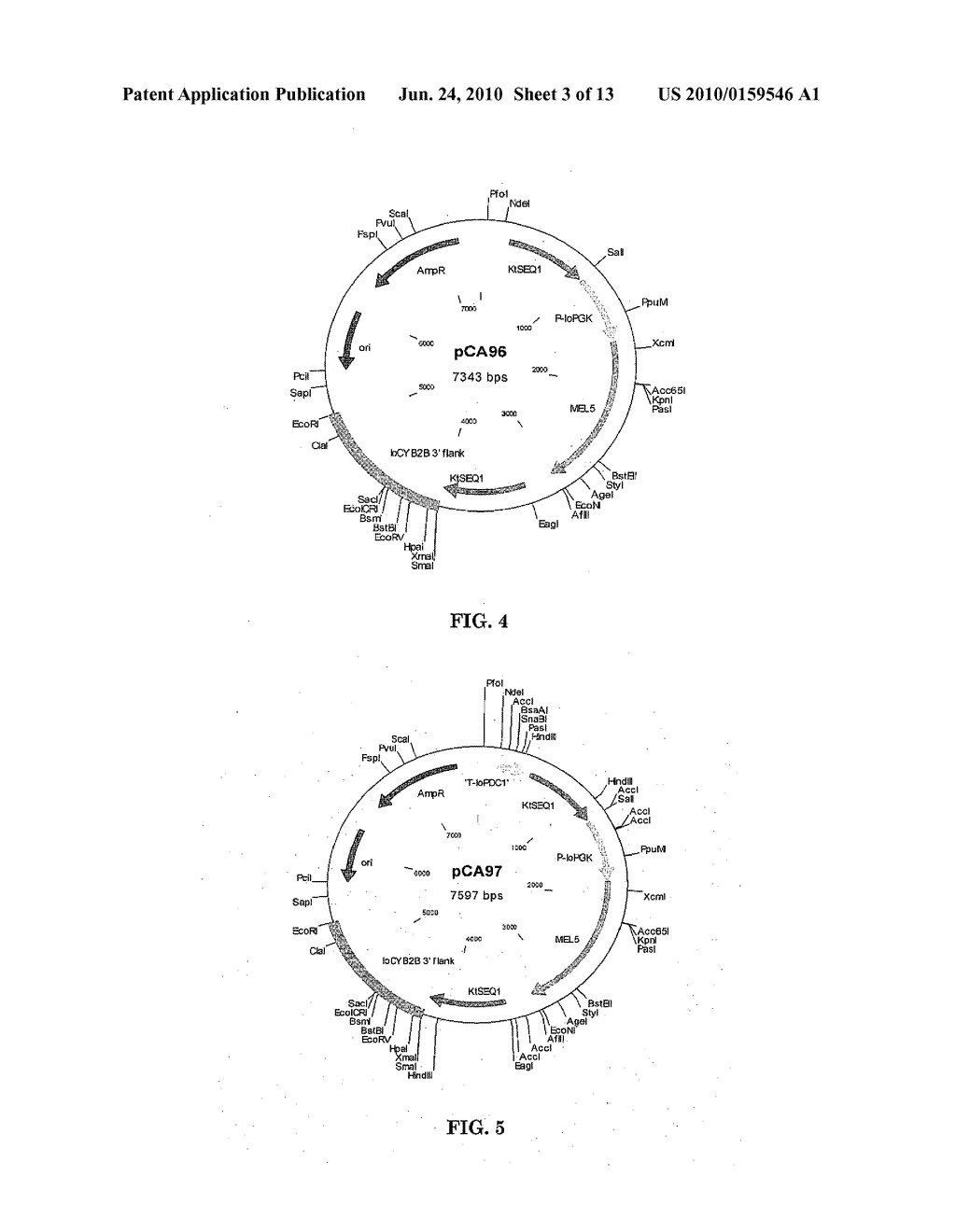 METABOLIC ENGINEERING OF YEASTS FOR THE PRODUCTION OF 1-BUTANOL - diagram, schematic, and image 04