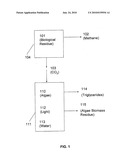 BIOFUELS PROCESSES INTEGRATING PHOTOBIOREACTORS WITH ANAEROBIC DIGESTION diagram and image