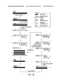 KITS FOR AMPLIFYING DNA diagram and image