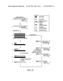 KITS FOR AMPLIFYING DNA diagram and image