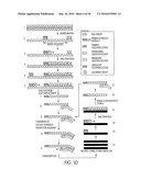 KITS FOR AMPLIFYING DNA diagram and image