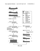 KITS FOR AMPLIFYING DNA diagram and image