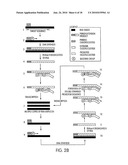 KITS FOR AMPLIFYING DNA diagram and image