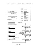 KITS FOR AMPLIFYING DNA diagram and image