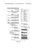 KITS FOR AMPLIFYING DNA diagram and image