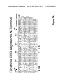 Protease resistant recombinant bacterial collagenases diagram and image