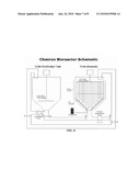 GORDONIA SIHWENSIS STRAIN AND USES THEREOF diagram and image