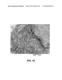 PROCESSING BIOMASS diagram and image