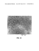 PROCESSING BIOMASS diagram and image