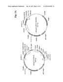 ANTIBODIES AGAINST HUMAN ANGIOPOIETIN 2 diagram and image