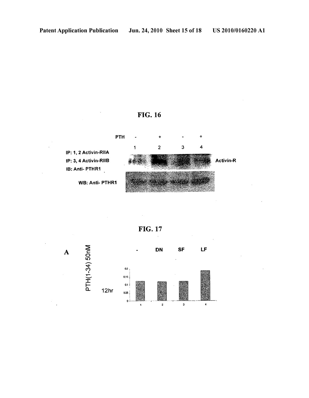 Compositions and Methods for Improving Bone Mass Through Modulation of Novel Receptors of PTH and Fragments Thereof - diagram, schematic, and image 16