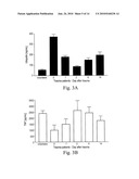 UBIQUITIN AND UBIQUITIN RELATED MOLECULES FOR TREATMENT AND PREVENTION OF HARMFUL ACTIVATION OF THE IMMUNE SYSTEM diagram and image