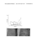 UBIQUITIN AND UBIQUITIN RELATED MOLECULES FOR TREATMENT AND PREVENTION OF HARMFUL ACTIVATION OF THE IMMUNE SYSTEM diagram and image