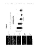 TREATMENT FOR EPILEPSY diagram and image