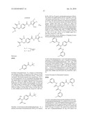 Modified Malonate Derivatives diagram and image