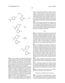 DIHYDROPYRIDONE AMIDES AS P2X7 MODULATORS diagram and image