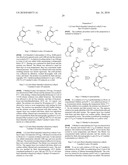 DIHYDROPYRIDONE AMIDES AS P2X7 MODULATORS diagram and image