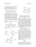 DIHYDROPYRIDONE AMIDES AS P2X7 MODULATORS diagram and image