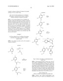 DIHYDROPYRIDONE UREAS AS P2X7 MODULATORS diagram and image