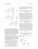 DIHYDROPYRIDONE UREAS AS P2X7 MODULATORS diagram and image