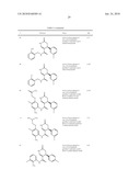 DIHYDROPYRIDONE AMIDESAS P2X7 MODULATORS diagram and image