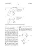 DIHYDROPYRIDONE AMIDESAS P2X7 MODULATORS diagram and image