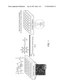 ORGANIC-INORGANIC HYBRID SCAFFOLDS WITH SURFACE-IMMOBILIZED NANO-HYDROXYAPATITE AND PREPARATION METHOD THEREOF diagram and image