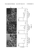 ORGANIC-INORGANIC HYBRID SCAFFOLDS WITH SURFACE-IMMOBILIZED NANO-HYDROXYAPATITE AND PREPARATION METHOD THEREOF diagram and image
