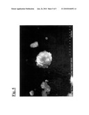 POLYMER-ENCAPSULATED PIGMENT NANO-PARTICLES AND METHOD FOR PREPARING SAME diagram and image