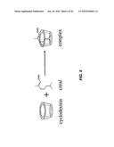 CYCLODEXTRIN INCLUSION COMPLEXES AND METHODS OF PREPARING SAME diagram and image