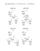 BIOLOGICAL SIGNAL SENSOR APPARATUS, WIRELESS SENSOR NETWORK, AND USER INTERFACE SYSTEM USING BIOLOGICAL SIGNAL SENSOR APPARATUS diagram and image