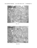 POLYNUCLEOTIDES AND POLYPEPTIDES IN PLANTS diagram and image