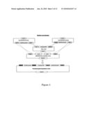 FUNCTIONAL R-GENE FROM SOLANUM BULBOCASTANUM diagram and image