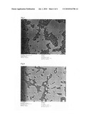 Polishing composition for semiconductor wafer diagram and image